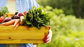 person holds box of vegetables