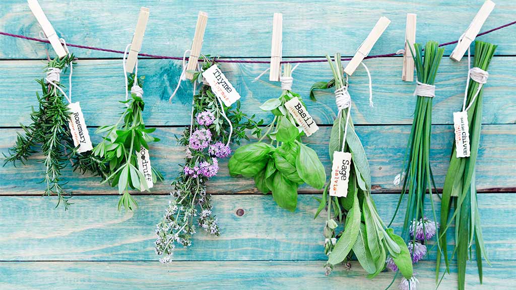 herbs hanging out to dry